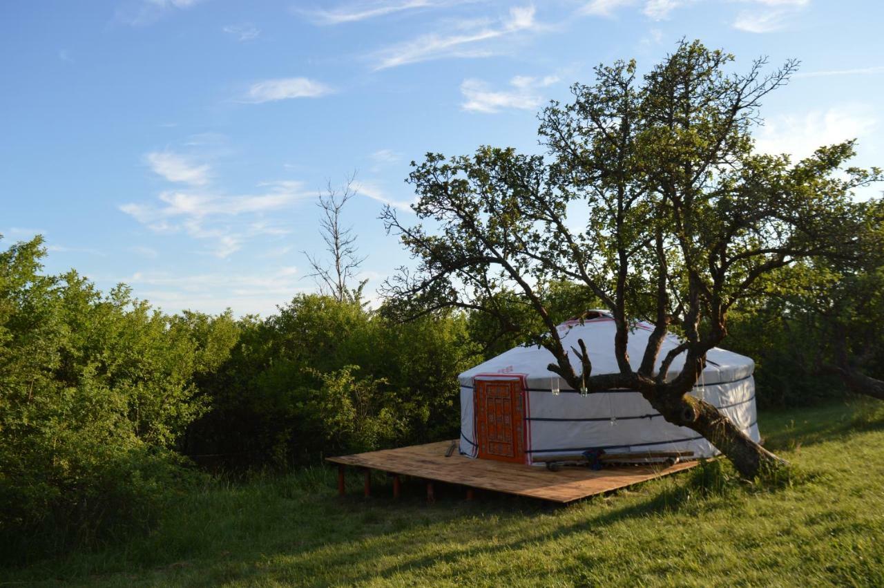 Camping V Raji - Palda Rovensko pod Troskami ภายนอก รูปภาพ